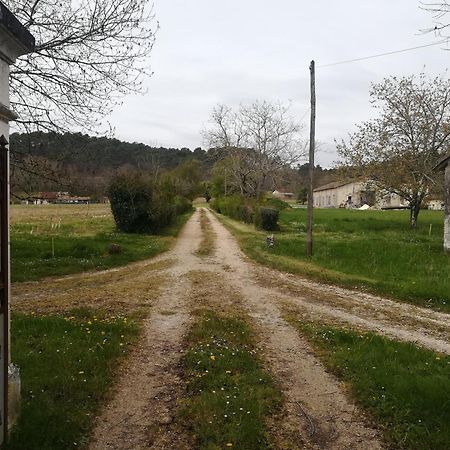 Domaine Du Baron Hotel Saint-Martin-l'Astier Buitenkant foto