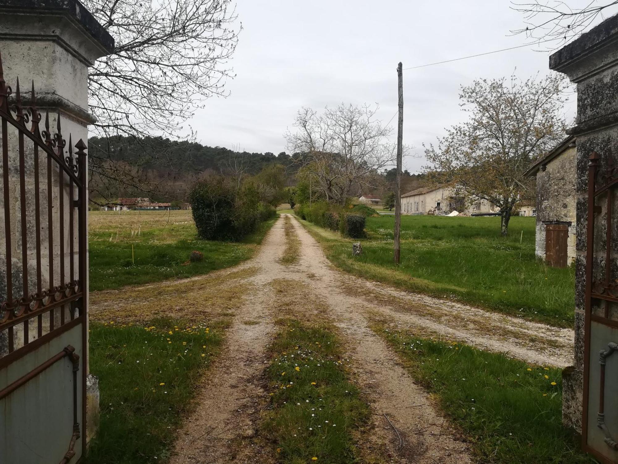 Domaine Du Baron Hotel Saint-Martin-l'Astier Buitenkant foto